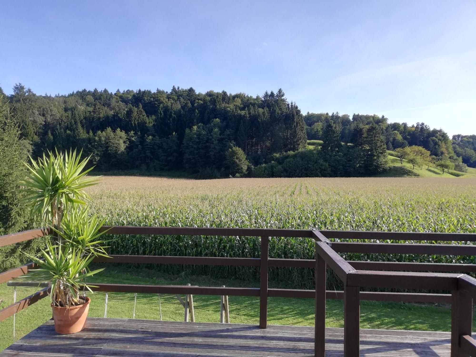 Ferienhaus Am Bach Kirchberg an der Raab Exterior foto